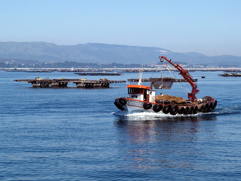 Ruta en barco por la Ría de Arousa